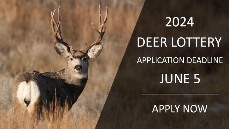 2024 Deer Lottery Deadline - Apply Now