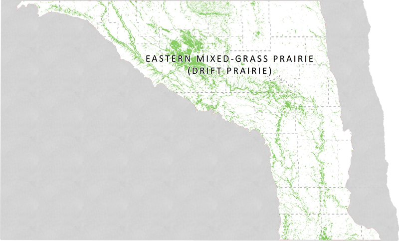 Icon for Eastern Mixed-grass Prairie