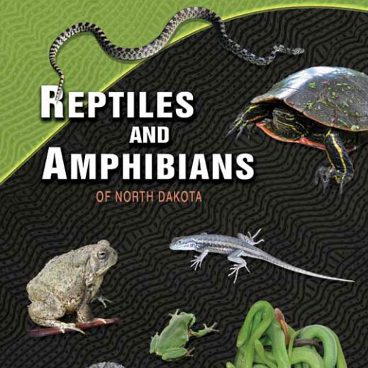 Reptiles and Amphibians of North Dakota cover