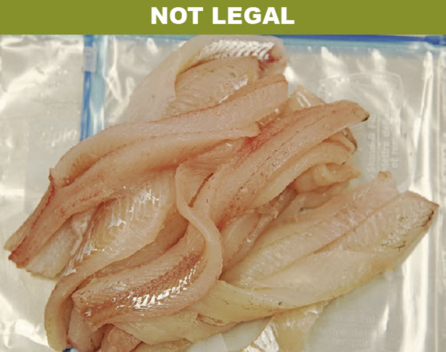 Multiple fillets in a package