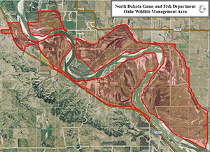 Oahe