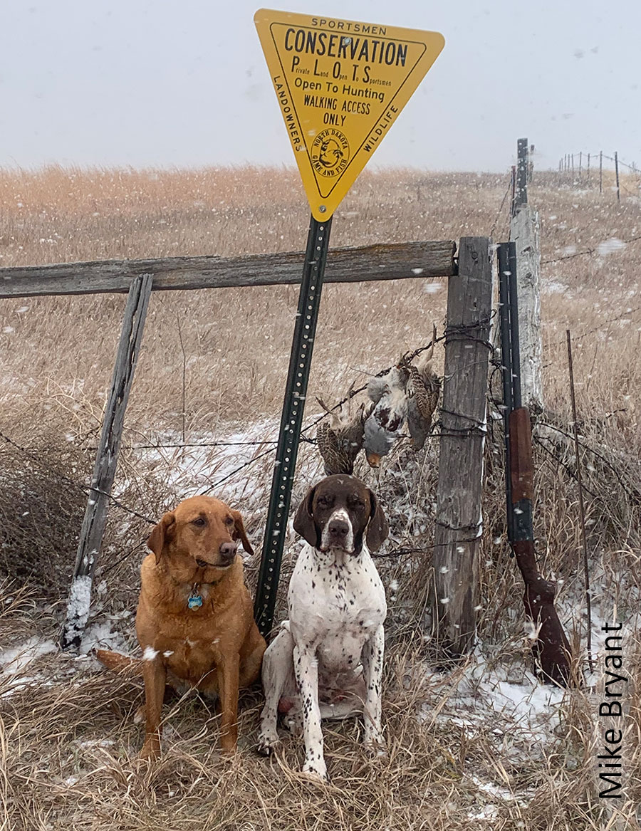 Hunting dogs under PLOTS sign