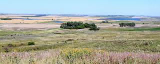 Eastern mixed-grass Prairie
