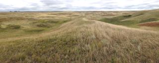 Mixed-grass Prairie