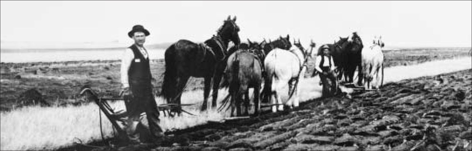 Settlers plowing up prairie