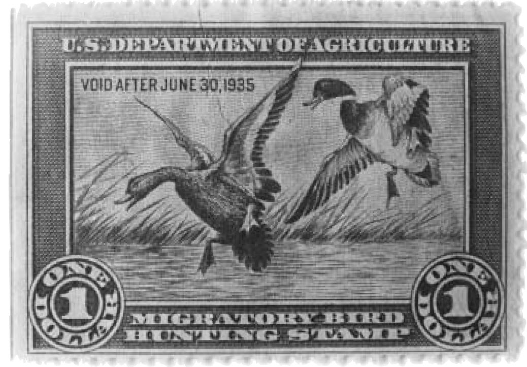 1935 Federal Duck Stamp