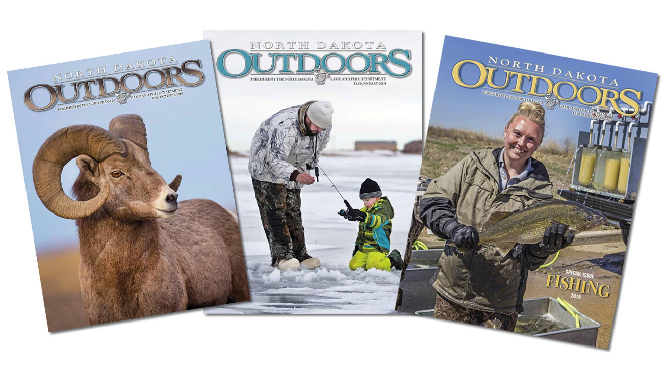 Three magazine covers