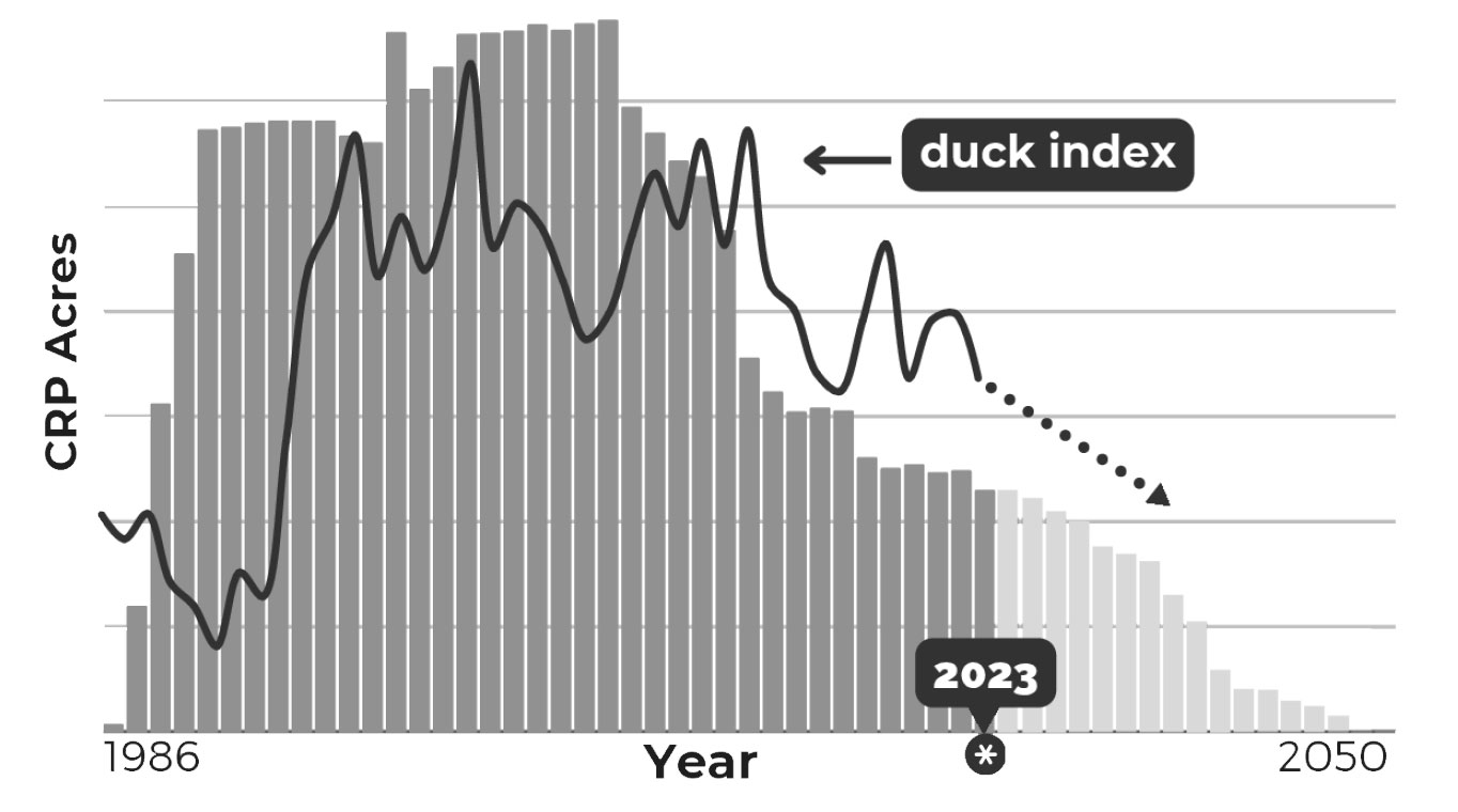 Chart showing decline of crp and pheasant harvest from 1986 projected through 2050