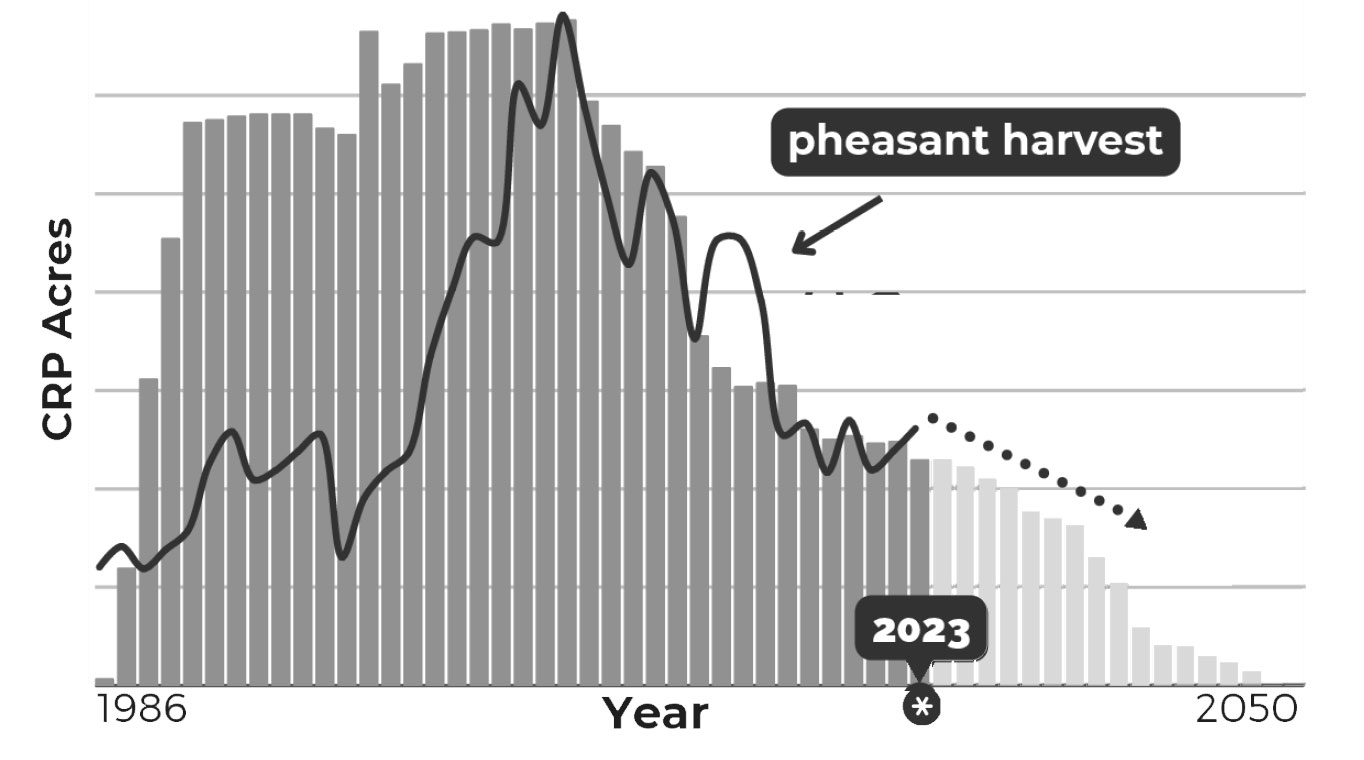 Chart showing decline of crp and pheasant harvest from 1986 projected through 2050