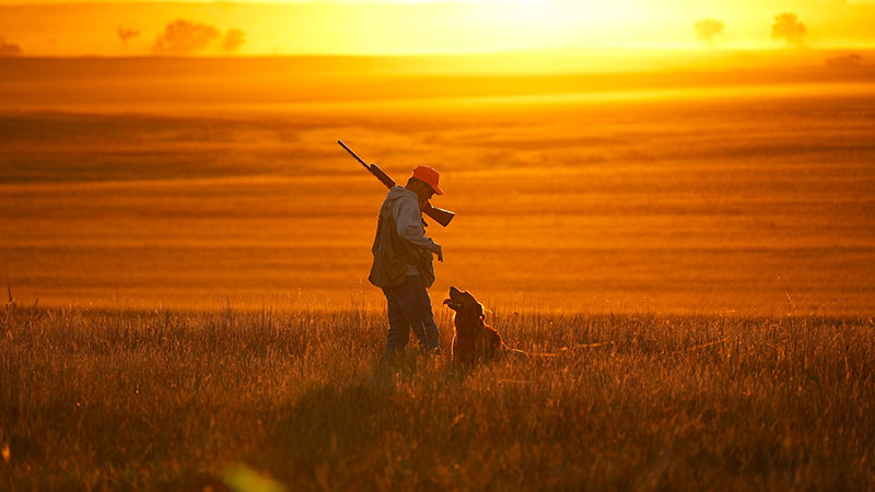 Hunter on the prairie with his dog at sunset