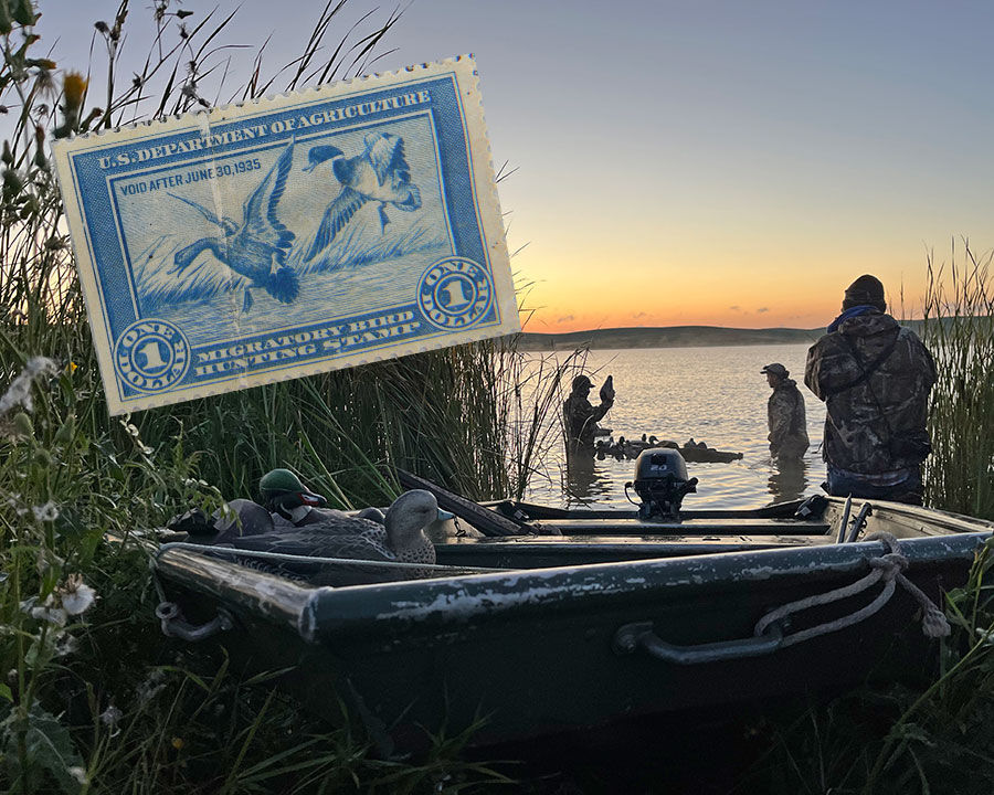 1935 duck stamp on left, duck hunters and boat on right