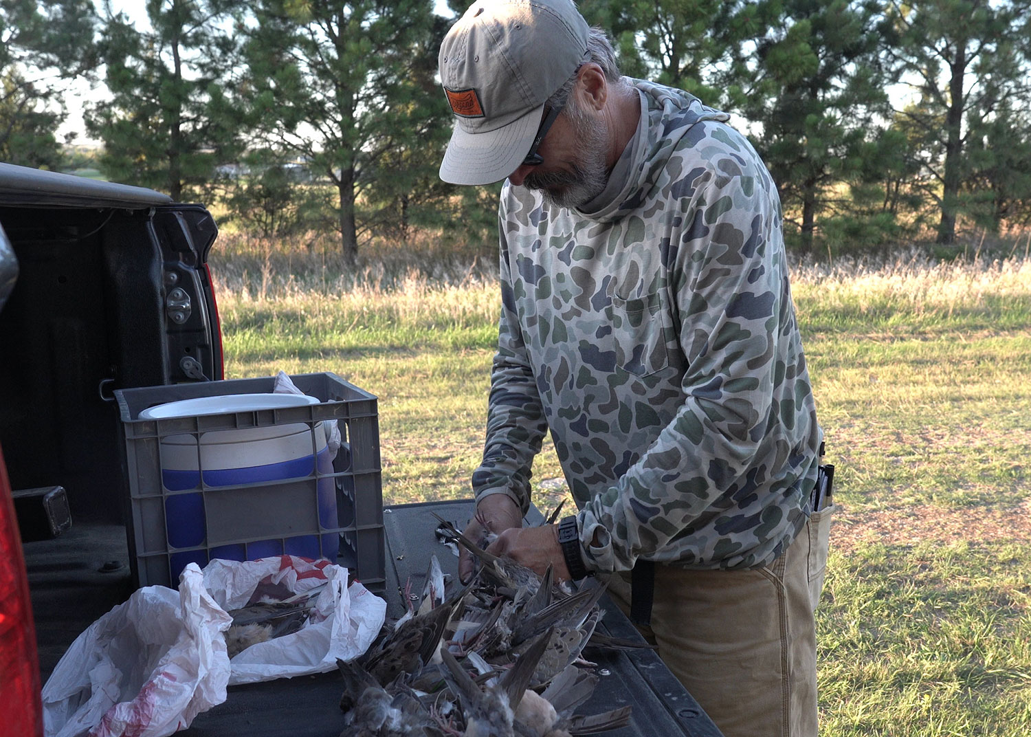 Hunter processing harvested doves