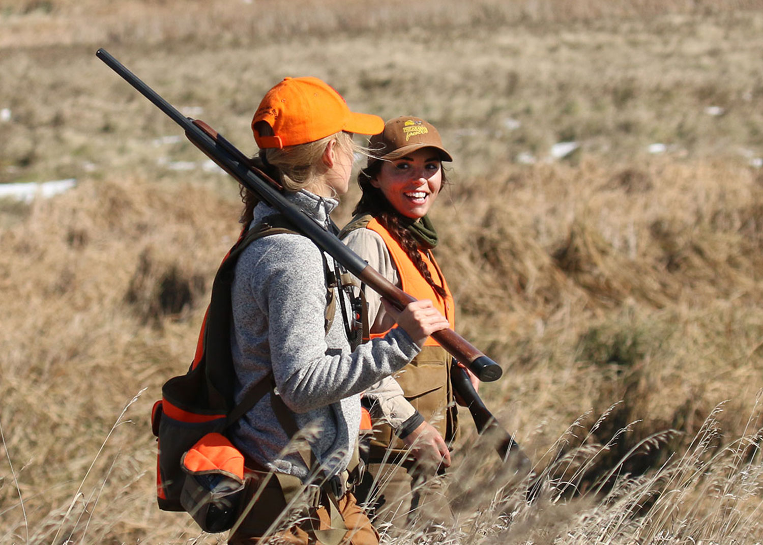 Hunters in the field upland game hunting