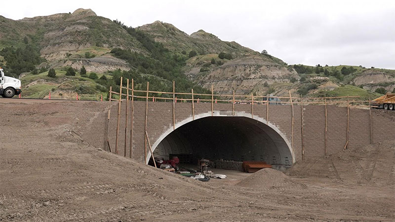 Highway wildlife underpass work