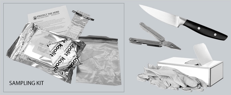 Example of a knife, multitool and gloves