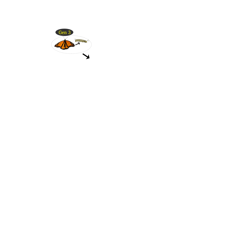 Migration map generation 3 reproduction area