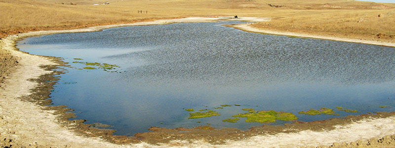 Alkali Wetland