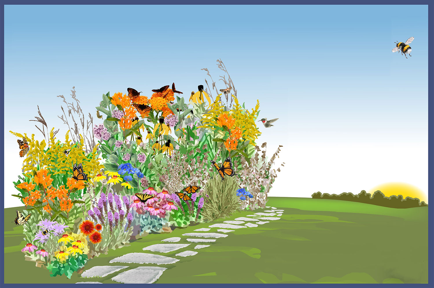 Drawing of garden with pollinators