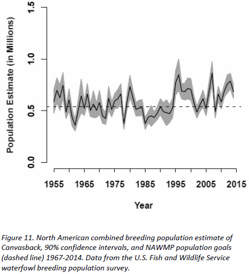 Population Trend Graph