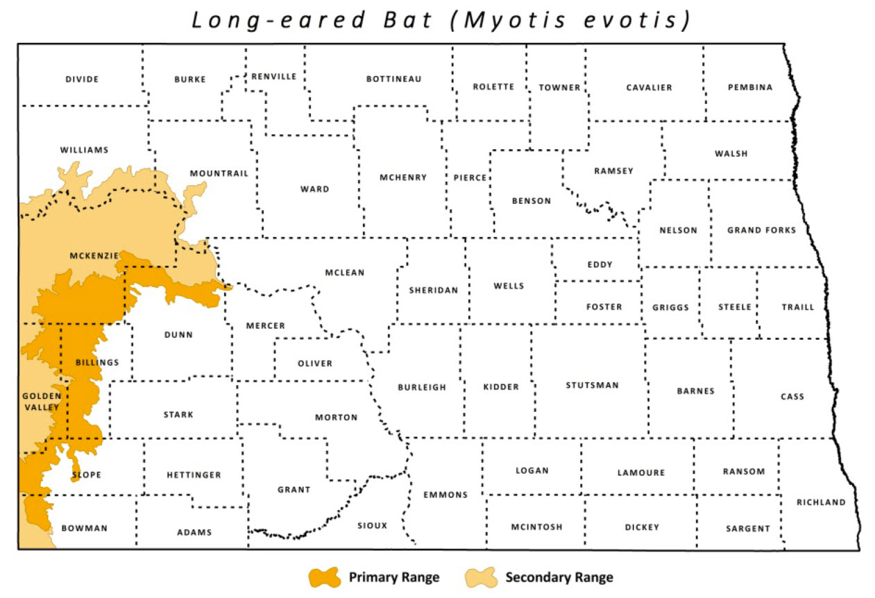 maps northern long eared bat