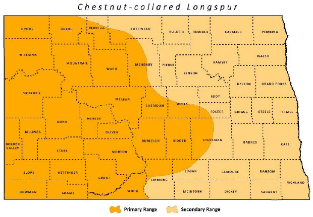 Chestnut-collared Longspur | North Dakota Game and Fish