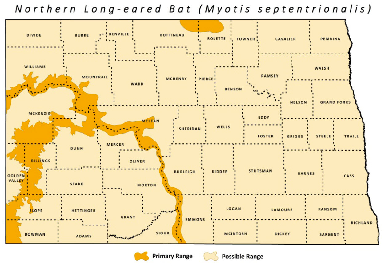 maps northern long eared bat