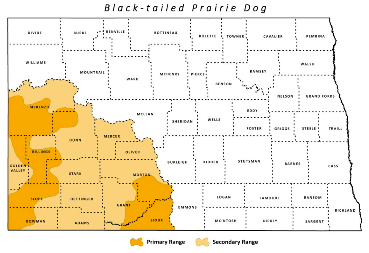 black tailed prairie dog map