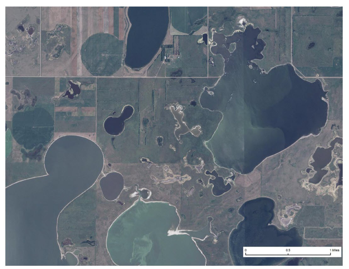 Kidder County shoreline habitat in 2004