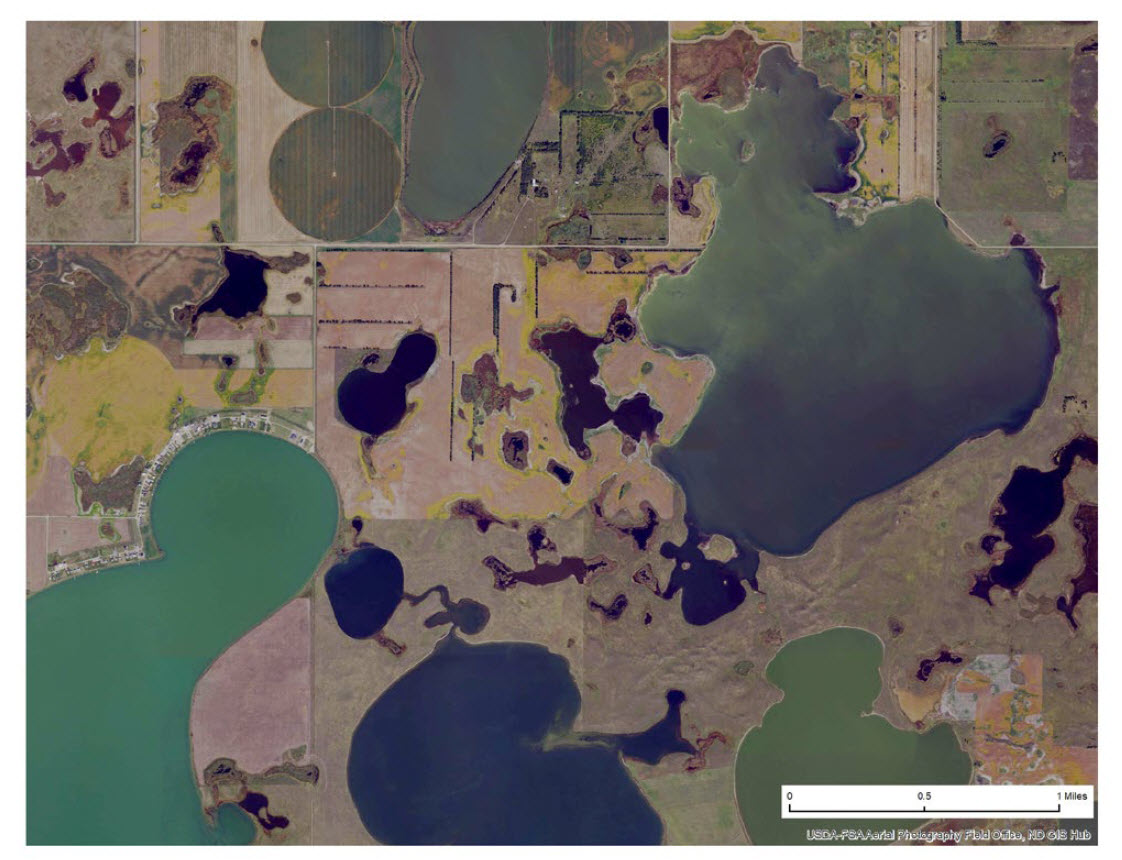 Kidder County shoreline habitat in 2024