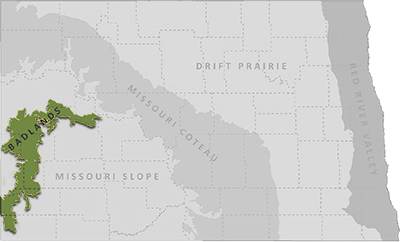Associated georegion(s) map