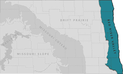 Associated georegion(s) map