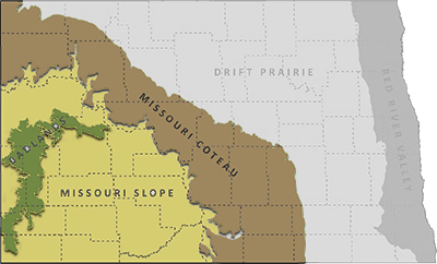 Associated georegion(s) map