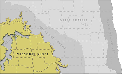 Associated georegion(s) map