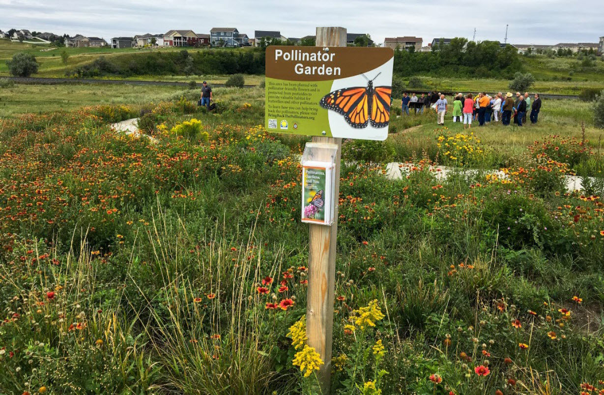 People near an urban pollinator garden
