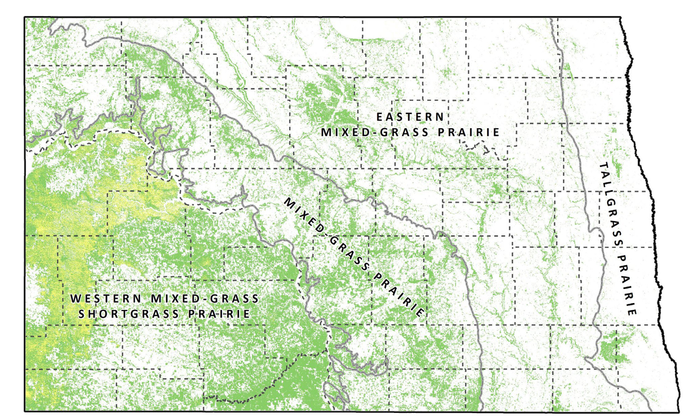 Map showing estimated current extend of unborken grassland and shrubland along with major grassland ecoregions