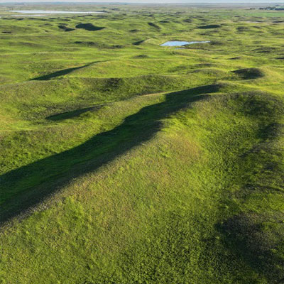 Grasslands