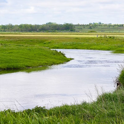Stream with green banks