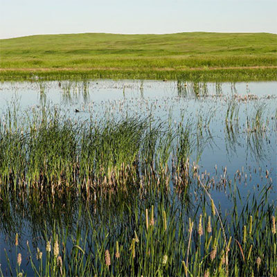 Prairie pothole