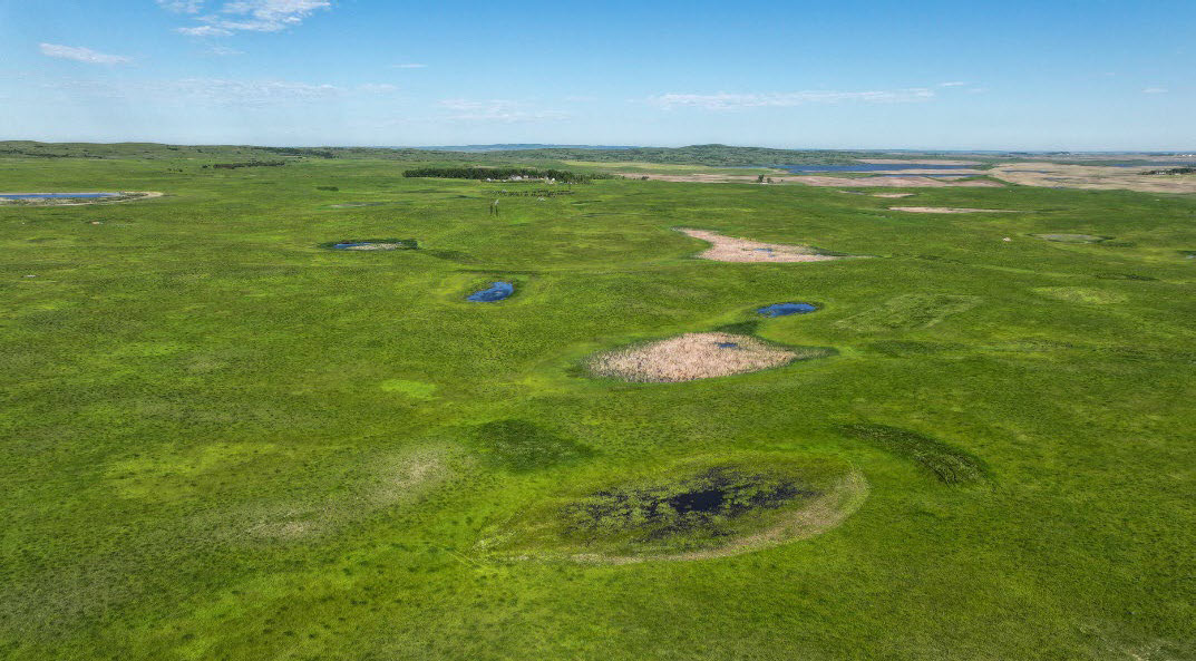 Restored wetland - example