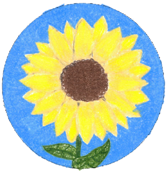 Yellow sunflower on blue background