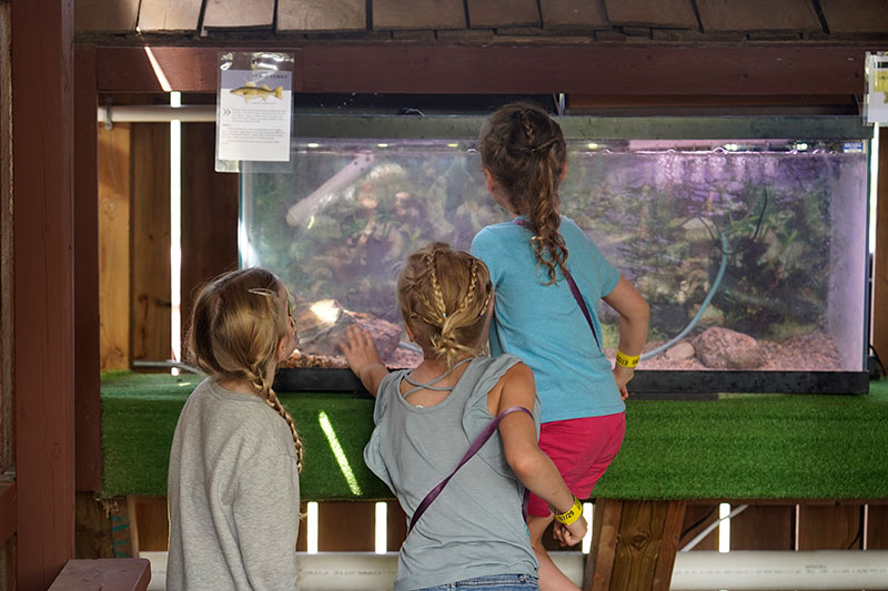 North Dakota State Fair  North Dakota Game and Fish