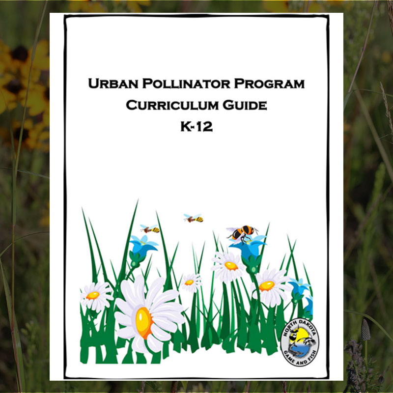 Urban Pollinator Guide Cover