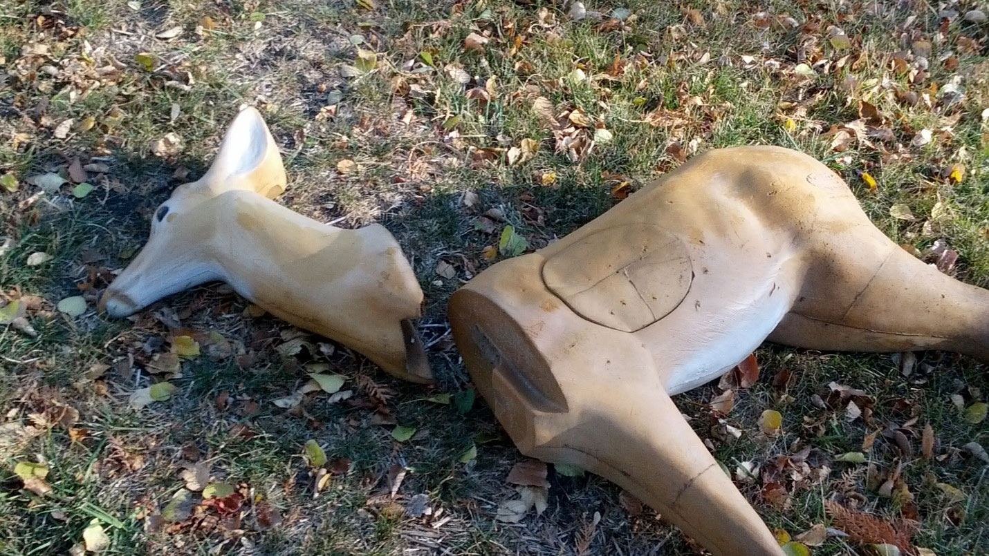 Deer form target with head seperated from body