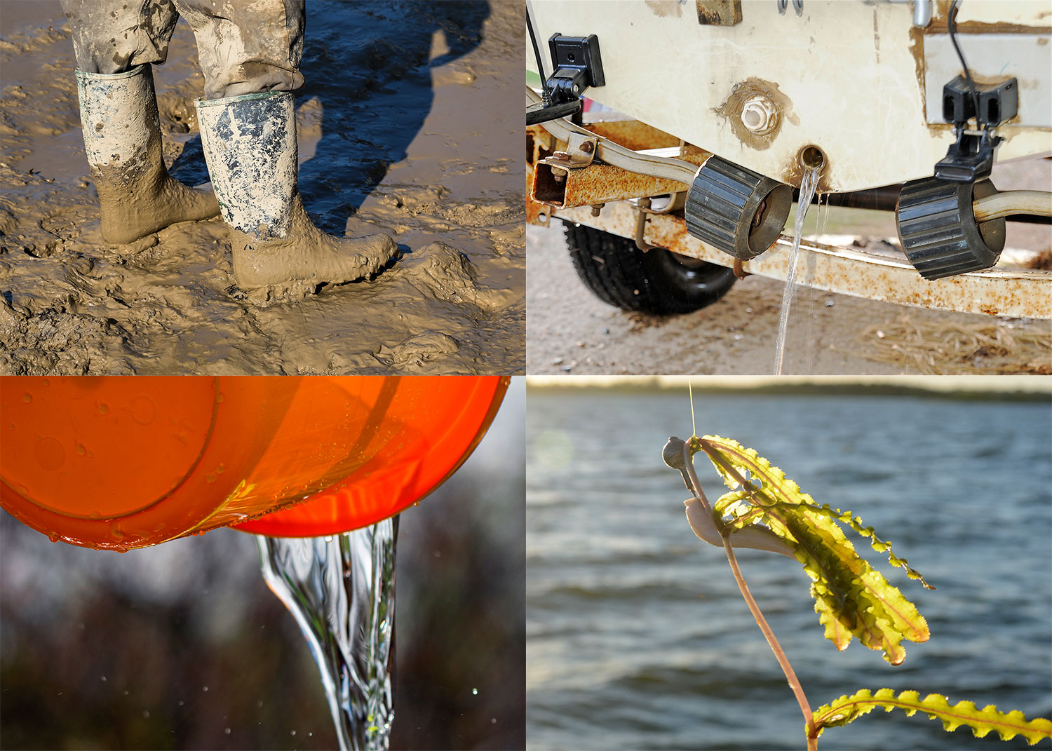 Cleaning examples: muddy boots, boat draining water, water emptying from a bucket, vegetation on a fish hook