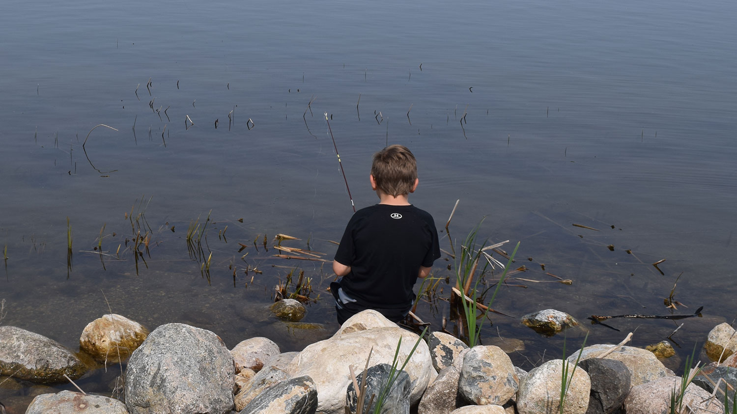 Child fishing from shore