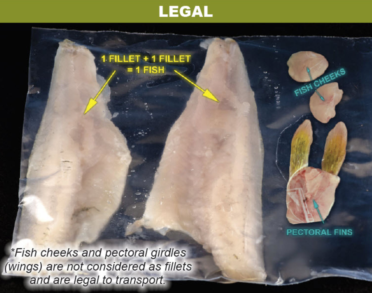 Separated fillets in a package