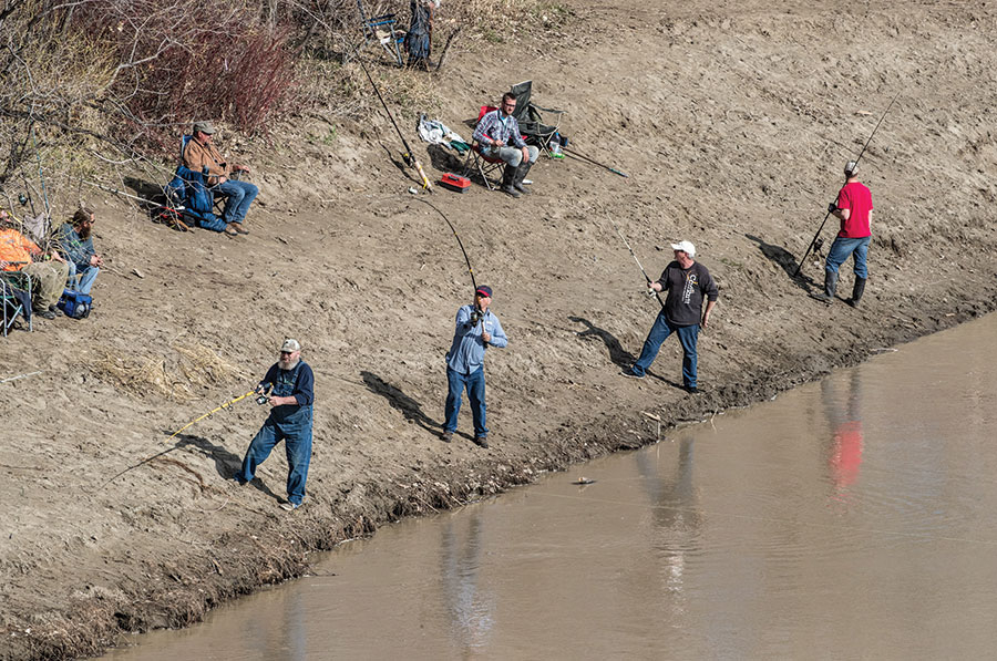 Snaggers on bank of Yellowstone River