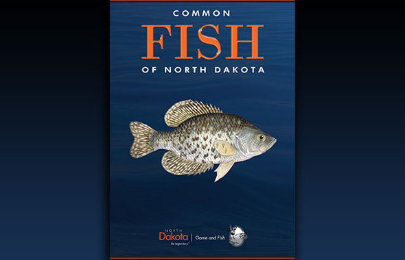Common Fish of ND Brochure