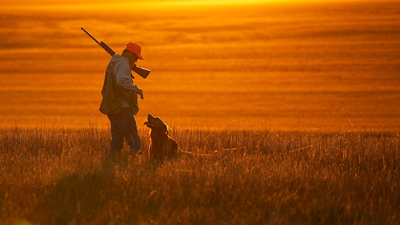 Hunter in the field with a dog