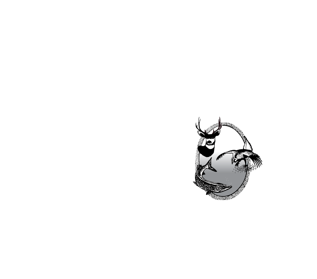NDO Podcast logo